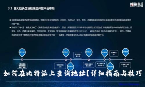 如何在比特派上查询地址？详细指南与技巧