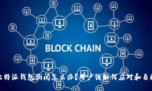 比特派钱包倒闭怎么办？用户该如何应对和自救