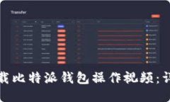 如何下载比特派钱包操作视频：详细教程