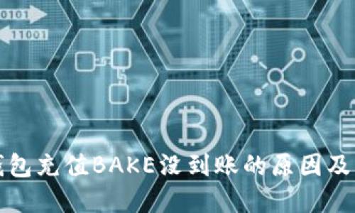 比特派钱包充值BAKE没到账的原因及解决方案