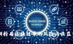 长期持有区块链币的风险与收益分析