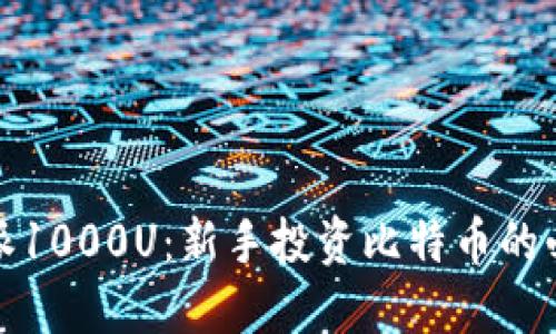 : 比特派1000U：新手投资比特币的必备指南