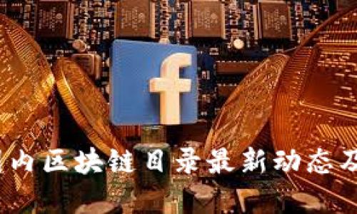 2023年国内区块链目录最新动态及发展趋势